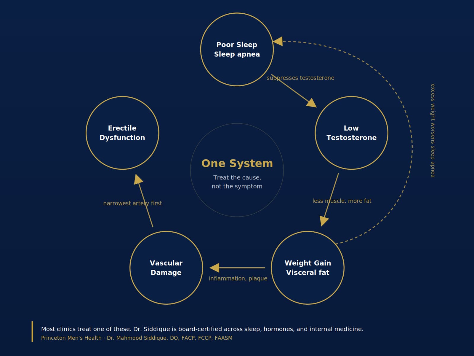 Diagram showing how poor sleep, low testosterone, weight gain, vascular damage and erectile dysfunction reinforce one another — Princeton Men's Health